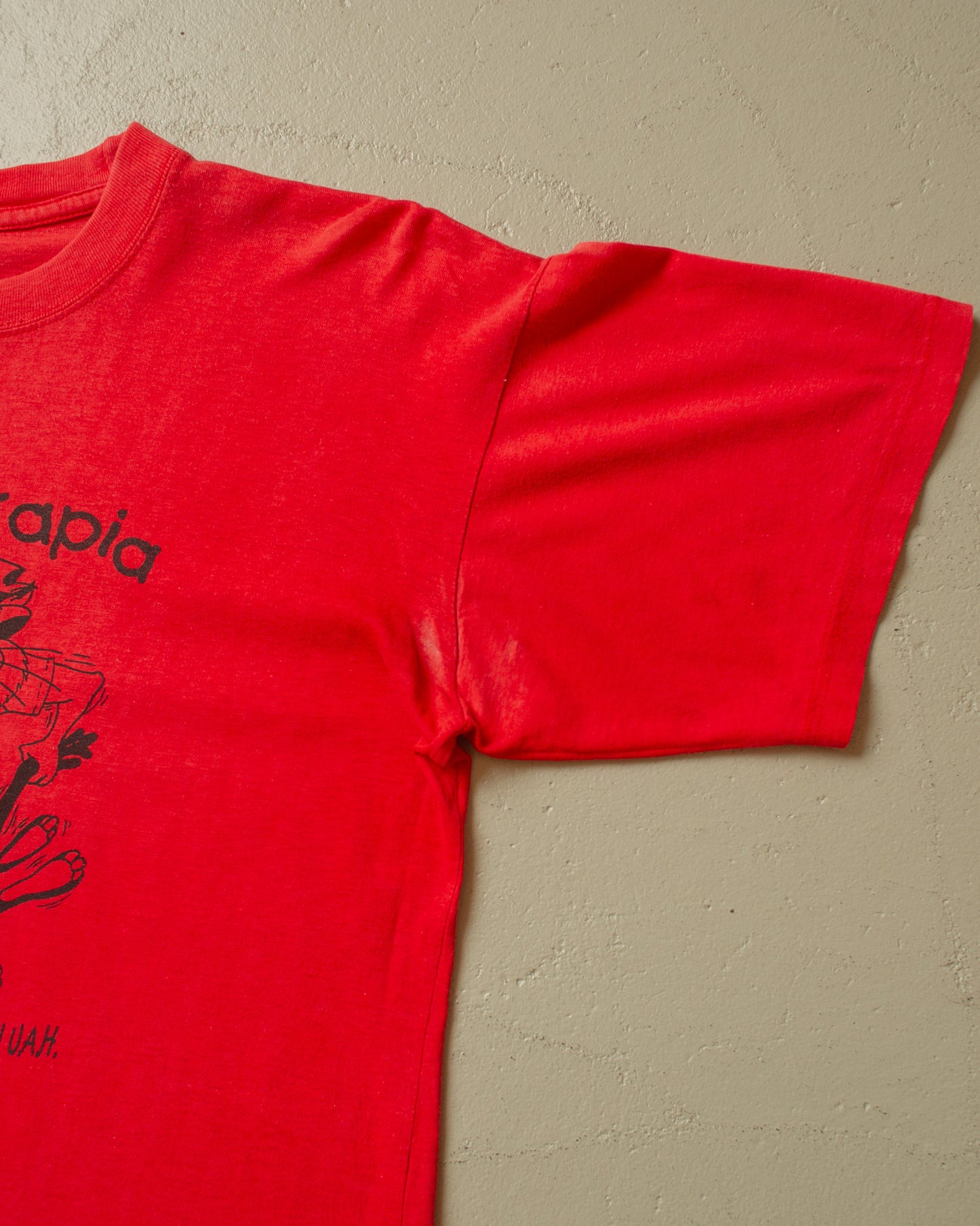 1990s distressed Fisioterapia Taz T-shirt red - M/L