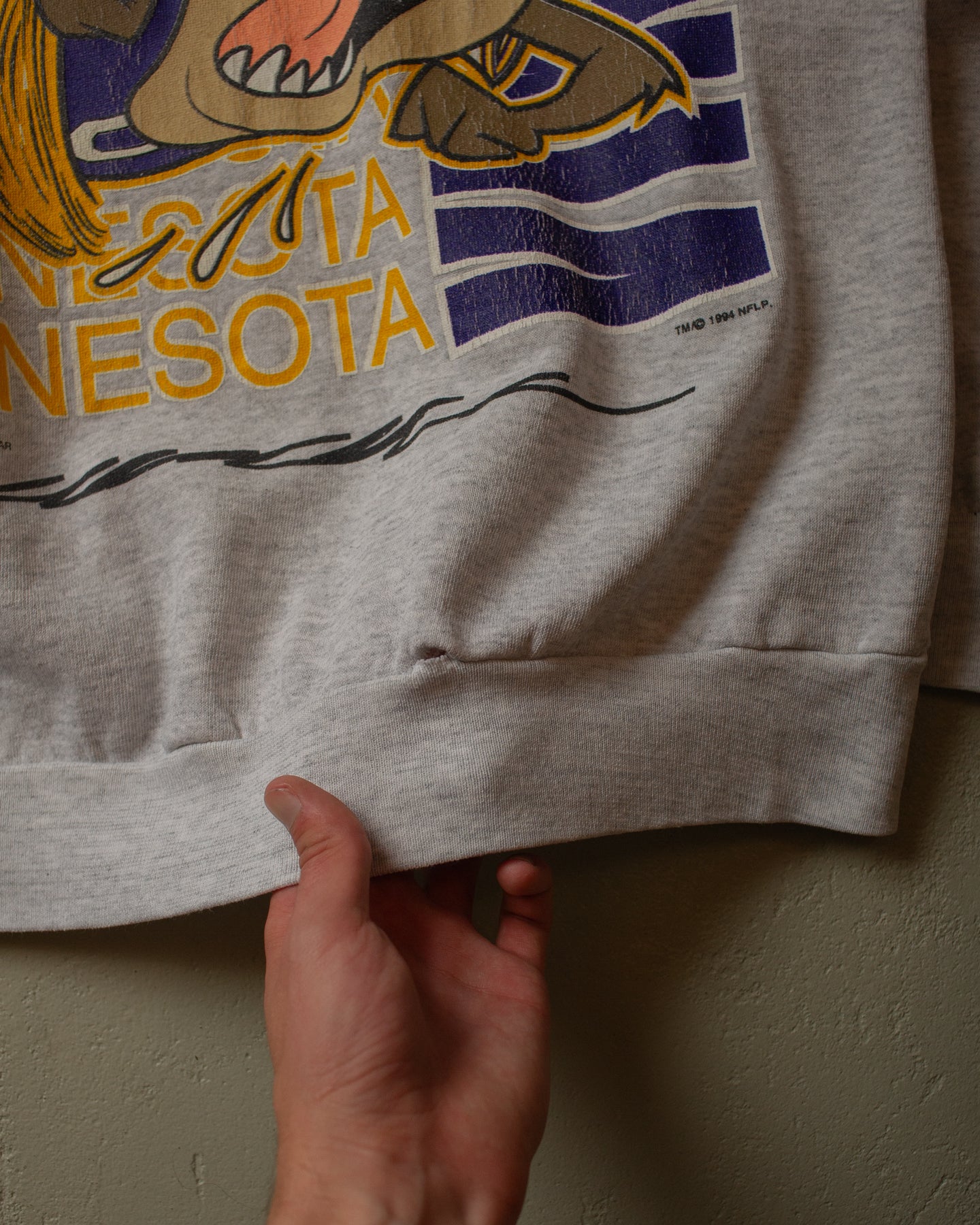 1994 distressed Minnesota Vikings Taz Sweatshirt grey - M/L