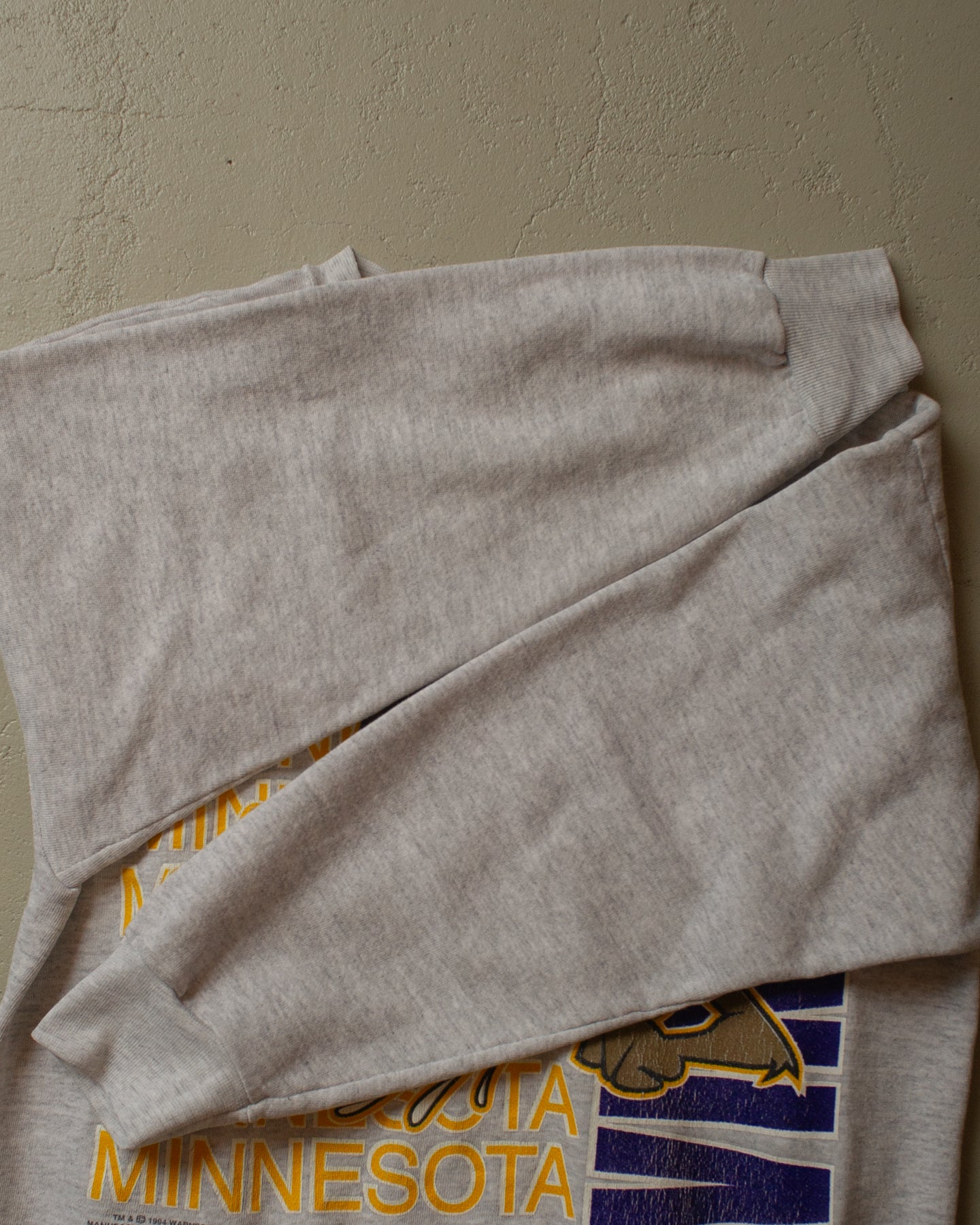 1994 distressed Minnesota Vikings Taz Sweatshirt grey - M/L