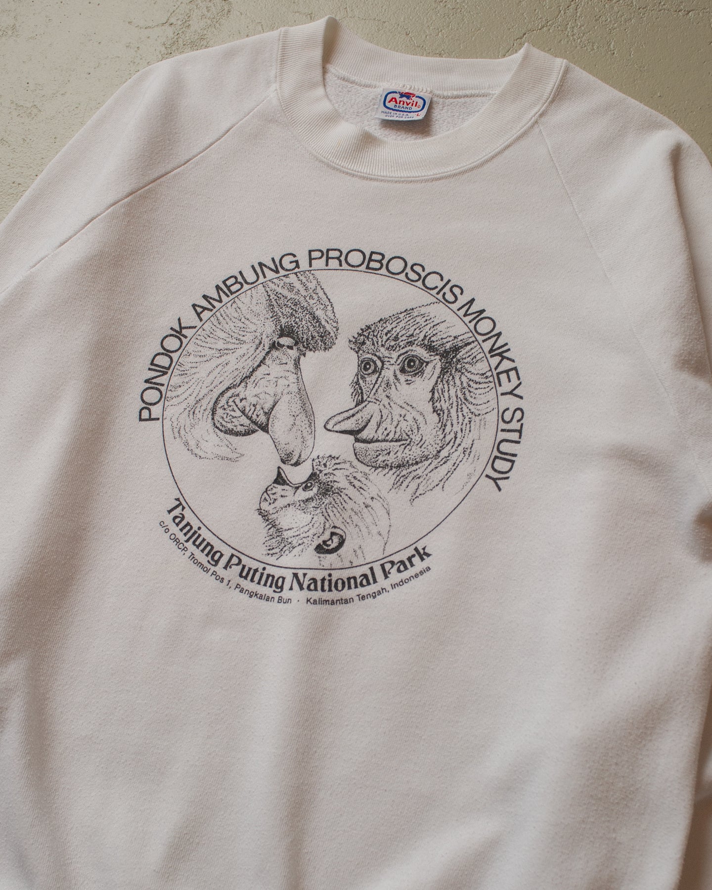 90s Proboscis Monkey Study Sweatshirt white - M/L