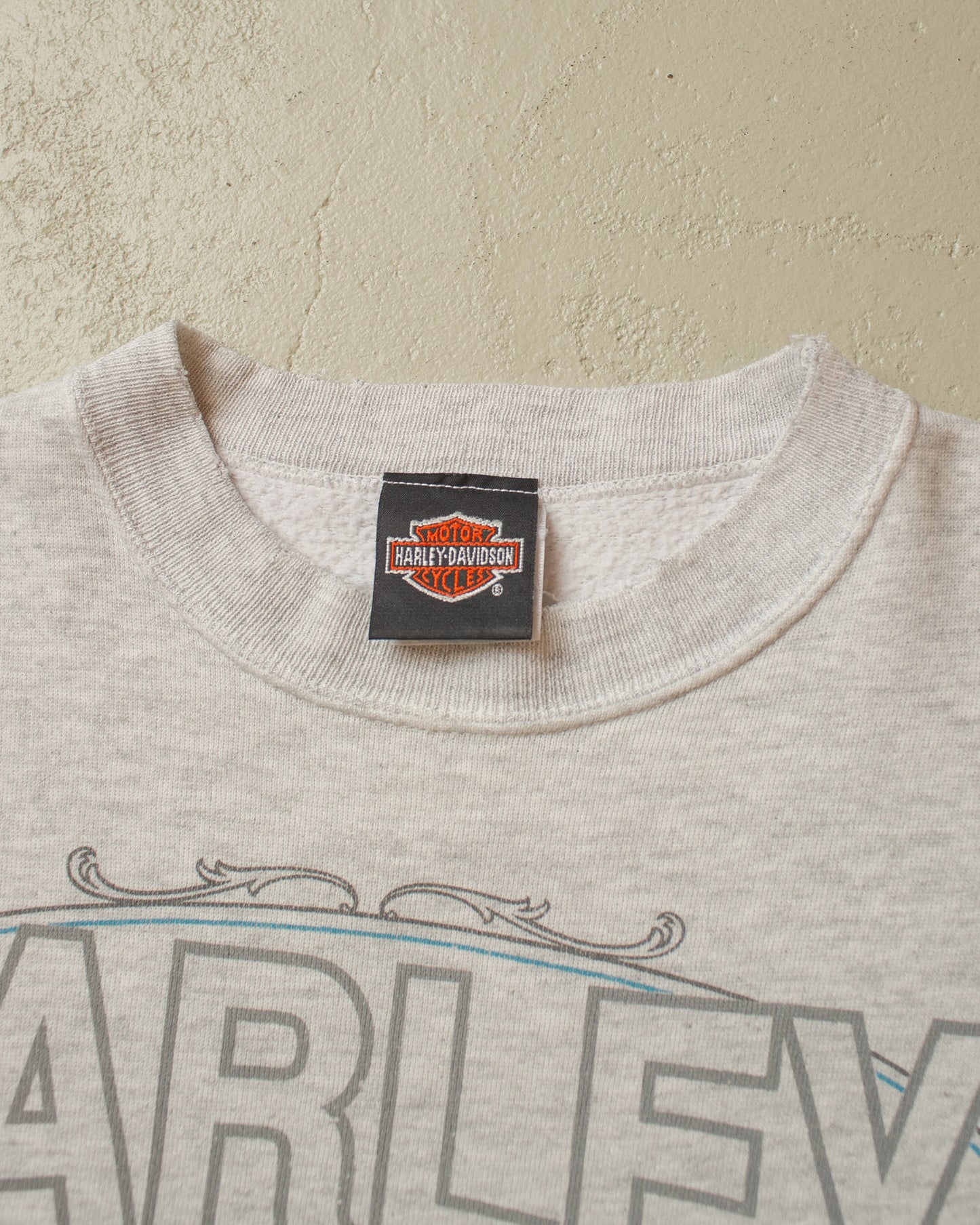 1990s Harley-Davidson Wisconsin Sweatshirt grey - M/L