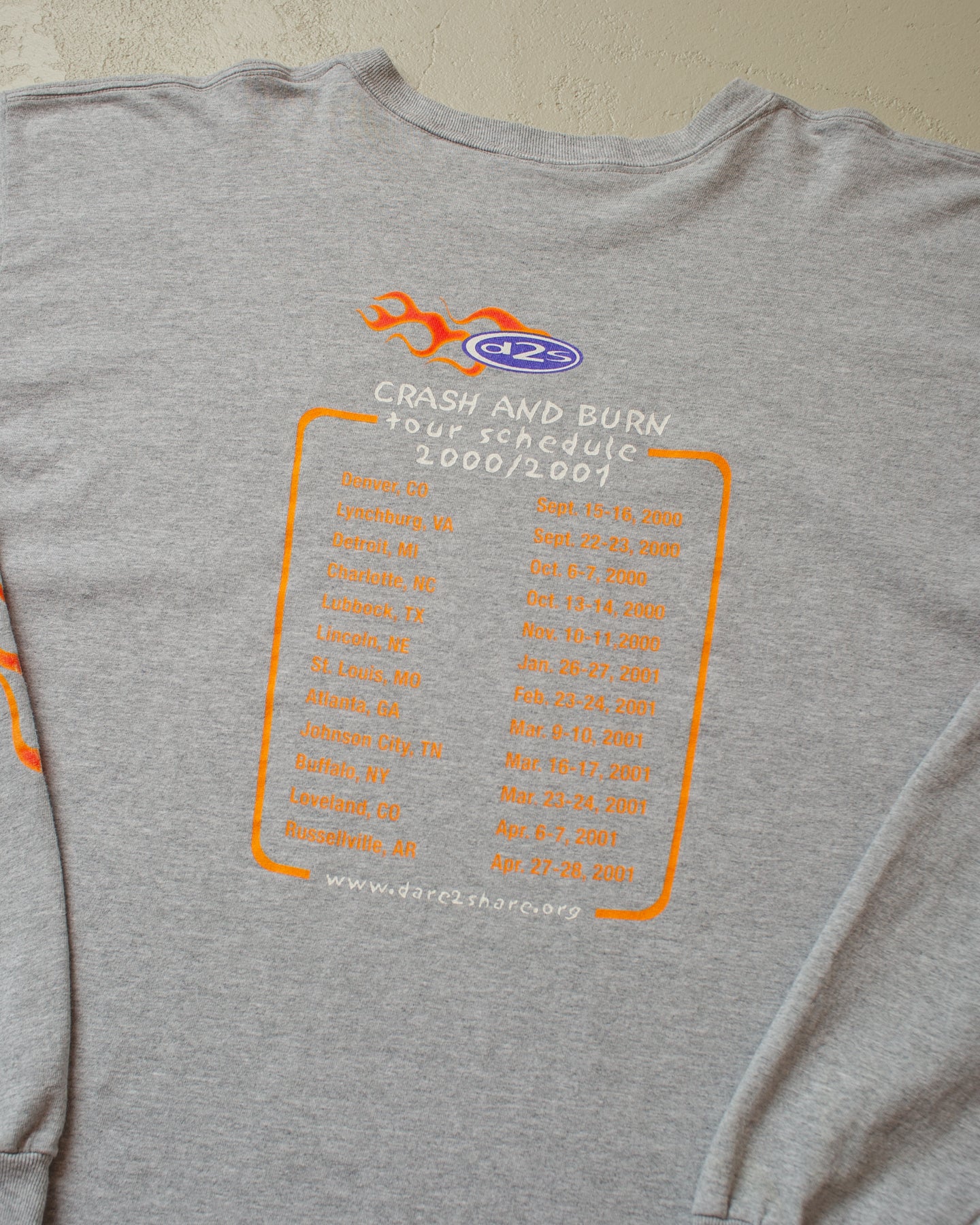 2000/01 D2S Crash and Burn Tour Longsleeve grey - XXL