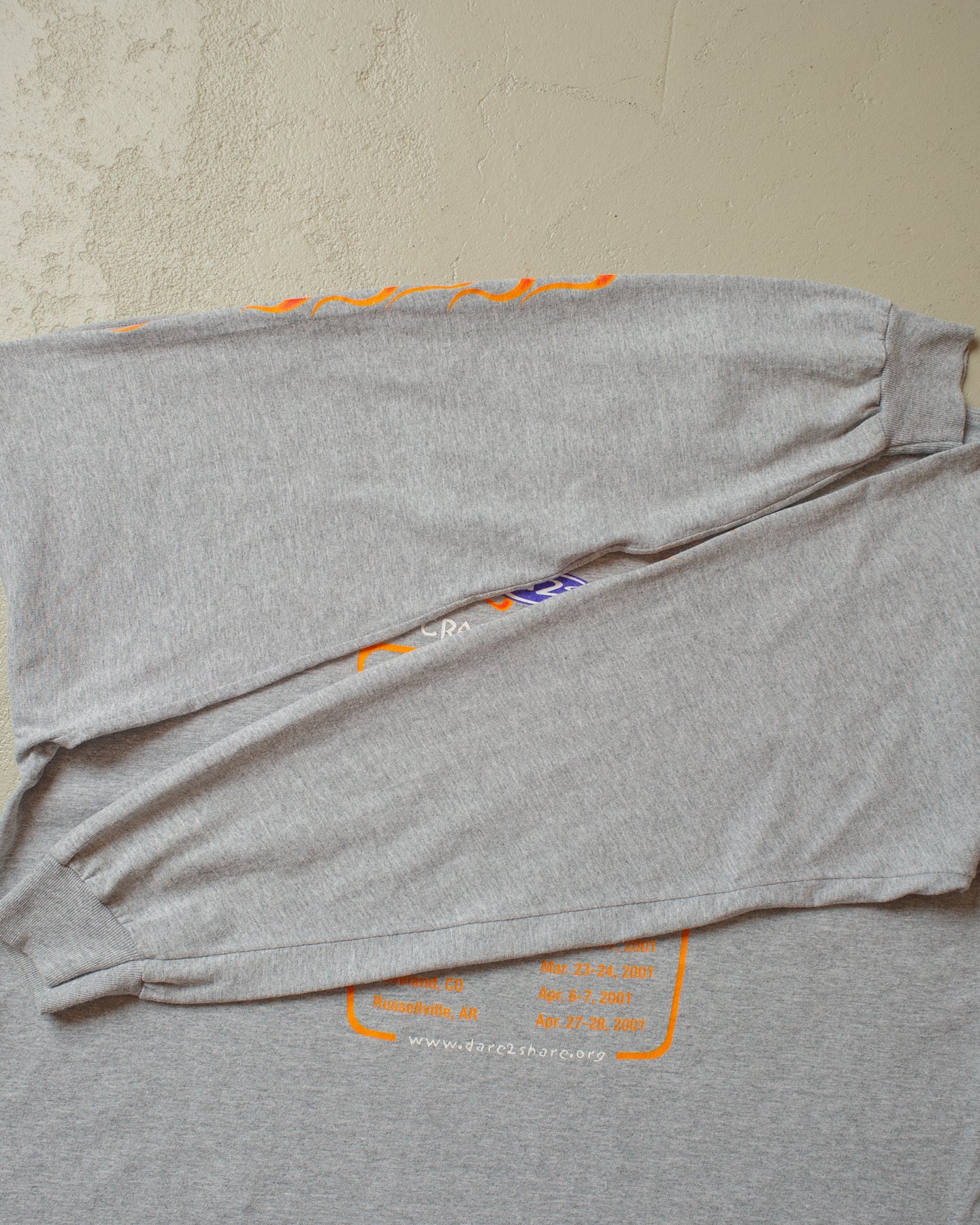 2000/01 D2S Crash and Burn Tour Longsleeve grey - XXL