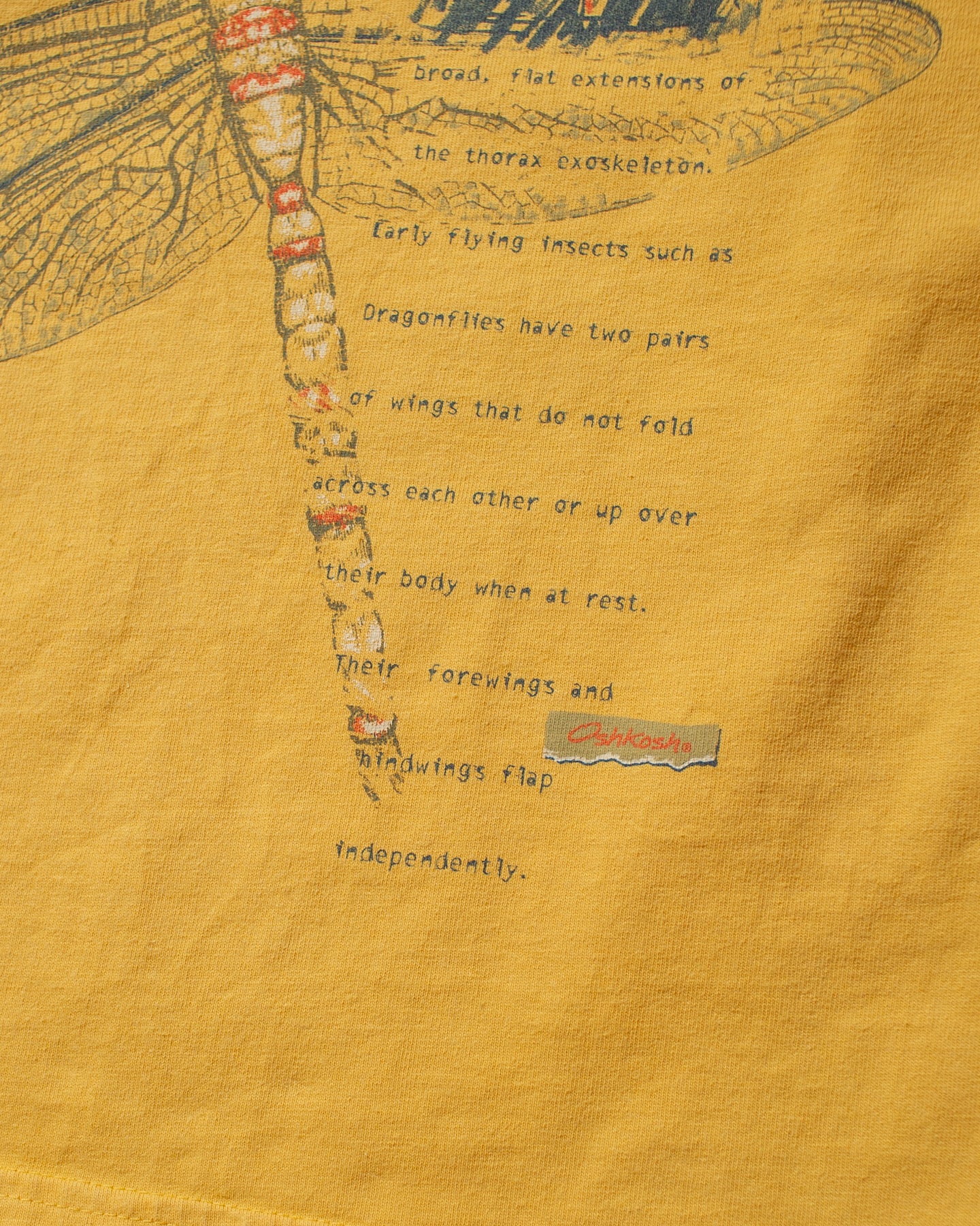 1990s Womens Osh Kosh Dragonfly Baby T-shirt yellow - XS