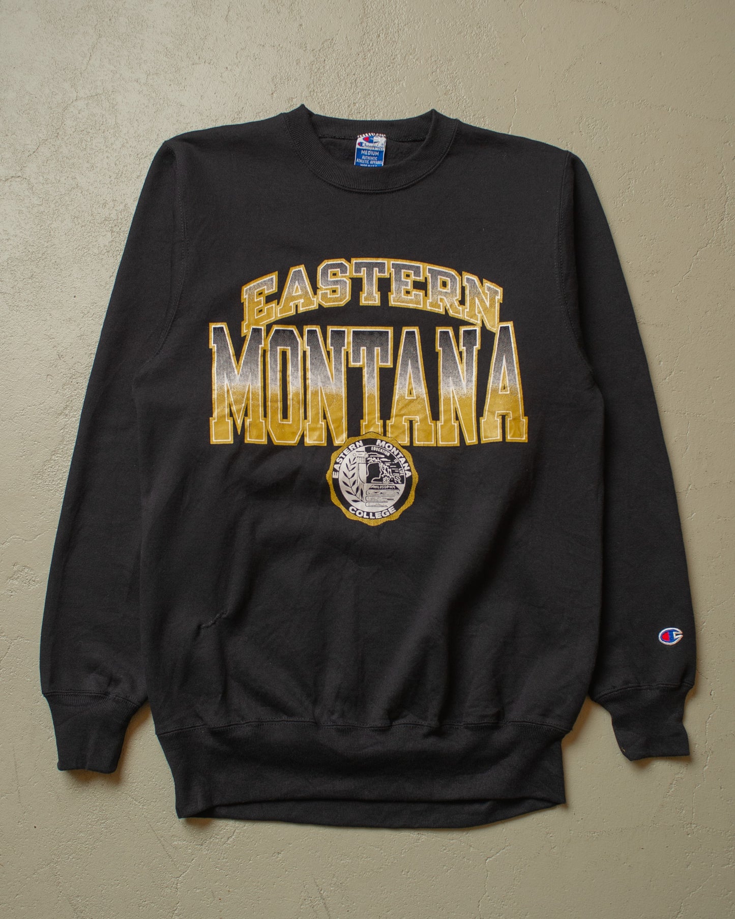 1980s Deadstock Champion College Sweatshirt black - M