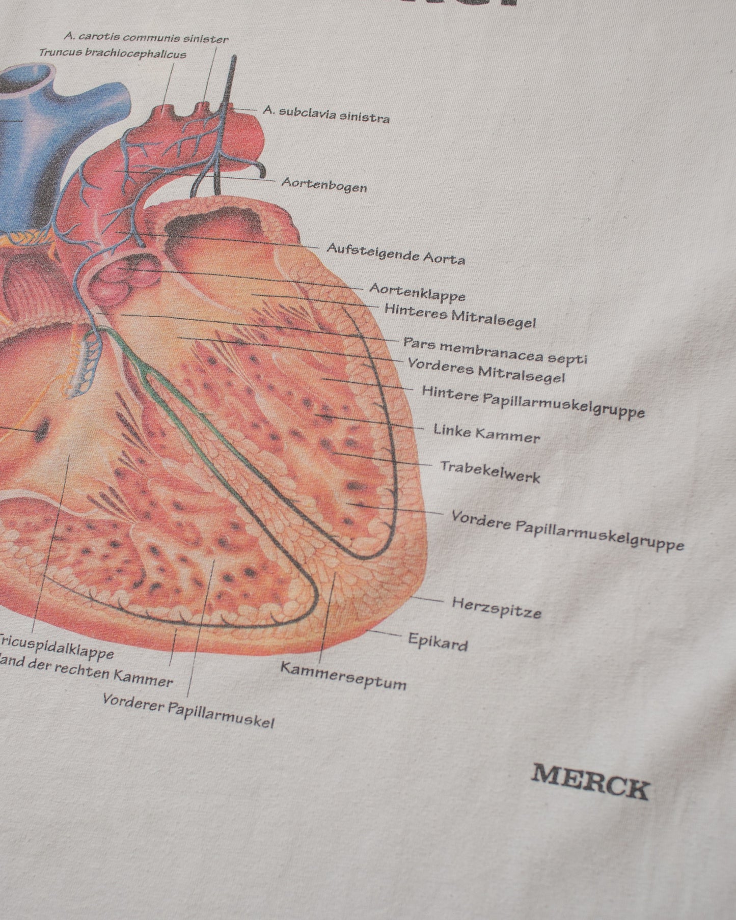 1990s Heart-Breaker Anatomy T-shirt white - XL